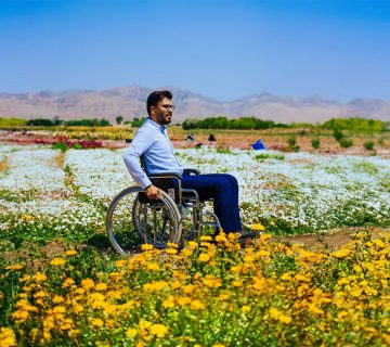 نمایشگاه گل محلات